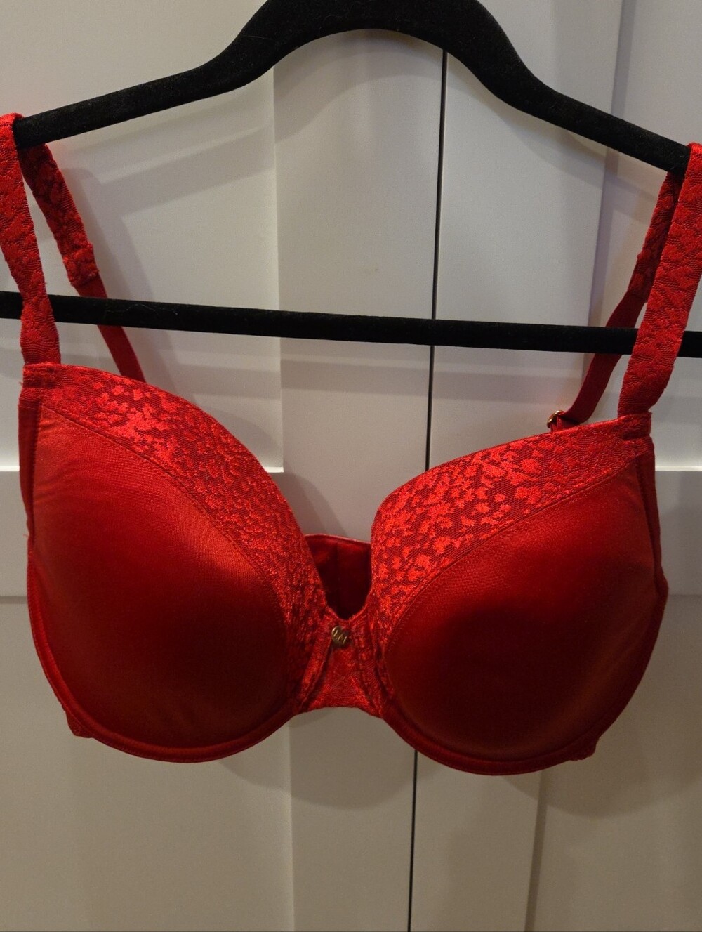 Le Mystere Red Lace Push-Up Bra - Elegant Support